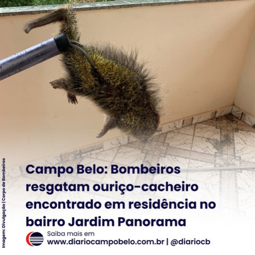 foto Not&iacute;cia Campo Belo