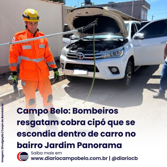 foto Not&iacute;cia Campo Belo